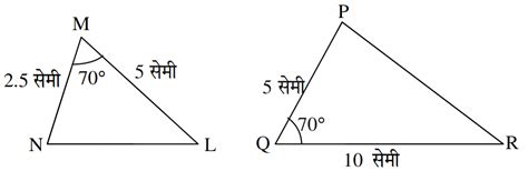 NCERT Class 10 Math Chapter 6 MCQ Question Answer Triangles CCL Chapter