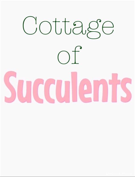 Pin By Elske Haakma On All The Cottages Buy Succulents Succulents