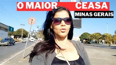 Ceasa Minas Gerais O Maior Ceasa O Que Tem Na Ceasa O Maior