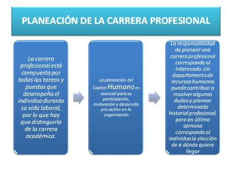 Plan De Carrera Profesional Qu Es Y C Mo Elaborarlo Porn Sex Picture