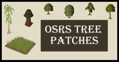 OSRS Tree Patches Guide - Route Order