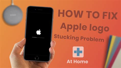 How To Fix Iphone X That Stuck In Apple Logo Screen Hot Sex Picture