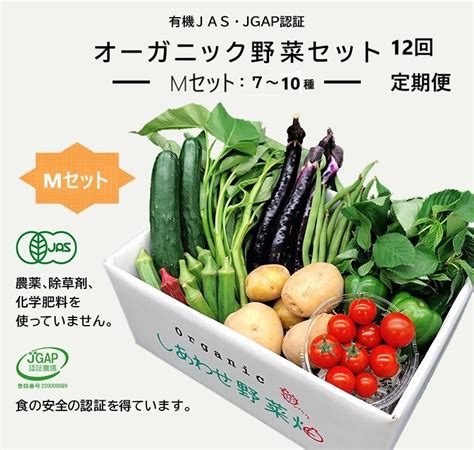 2011 野菜 オーガニック 野菜 Ⅿセット×12回 定期便 有機jas認証 有機野菜 しあわせ野菜畑 静岡県掛川市｜ふるさとチョイス