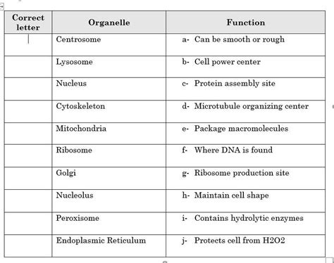 SOLVED: 'Organelles and their functions:'