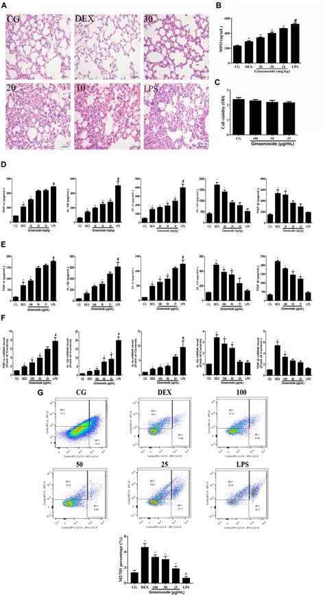 Frontiers Ginsenoside Rg Attenuates Lipopolysaccharide Induced Acute