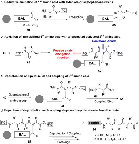 Steps Of Backbone Amide Linker BAL Strategy Act Activated Carboxy