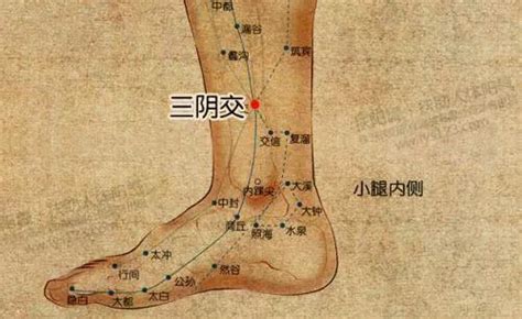 每天三分鐘「排毒穴道」輕鬆按：清腸道、顧肝臟，體內廢棄物質掃光光