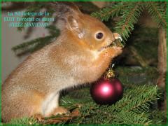 FELICES FIESTAS Biblioteca De Montes Forestal Y Medio Natural