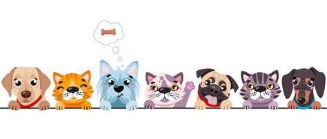 A Cat Dog Cartoon