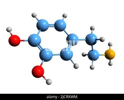 Cocaine. Chemical formula, molecular structure. 3D rendering Stock ...