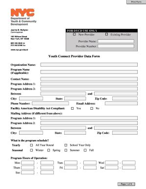 Fillable Online Nycppf Youth Connect Provider Data Form NYC Gov Fax