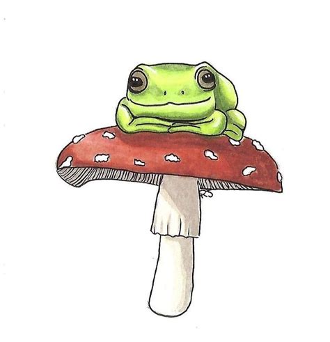 Frog On A Mushroom Drawing - Drawing Word Searches