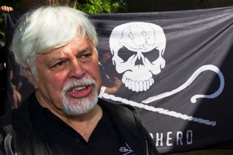 Anti Whaling Activist Paul Watson To Remain Detained In Greenland The