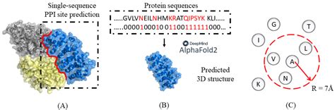 Biology Free Full Text Evaluation Of The Effectiveness Of Derived