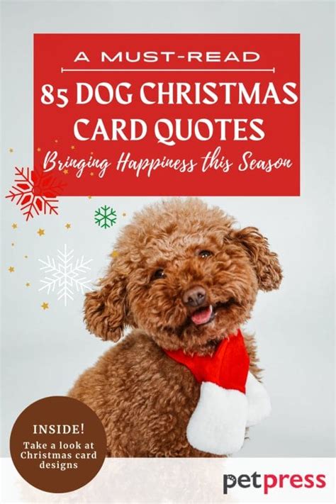 85 Dog Christmas Card Quotes: Bringing Happiness This Season