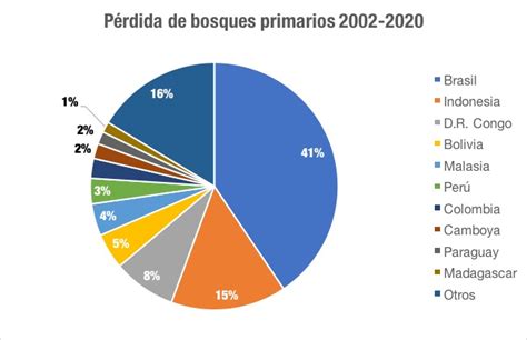 Estudios evidencian que deforestación aumentó en todo el planeta en