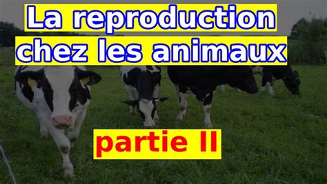 La Reproduction Chez Les Animaux 2 2ac Biof Youtube