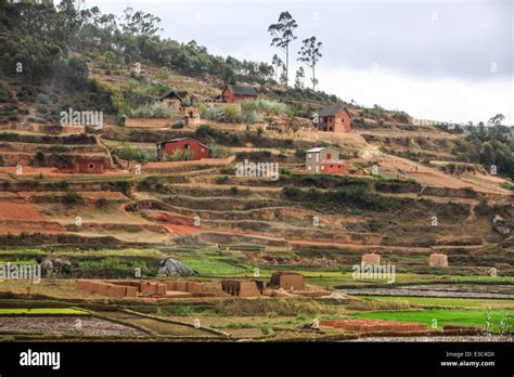 Rice Terraces Madagascar Hi Res Stock Photography And Images Alamy