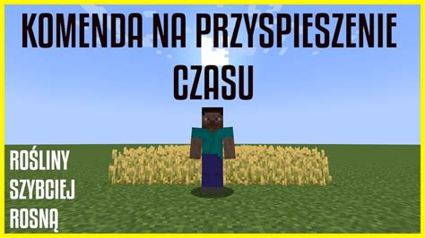 Minecraft Komenda na przyspieszenie czasu szybkie rośnięcie roślin