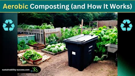 Aerobic Composting (and How It Works)