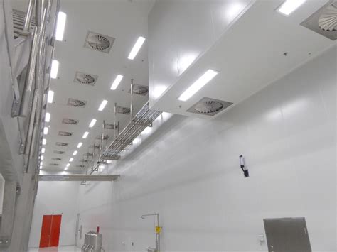 Remo Walkable Ceiling Karsten Cleanroom Systems