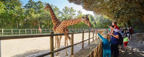 Lecozoo Zoo Des Sables Dolonne • Le Puy Carmin