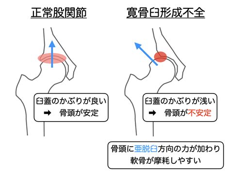 整形外科｜診療科目・各部門｜社会医療法人垣谷会 明治橋病院