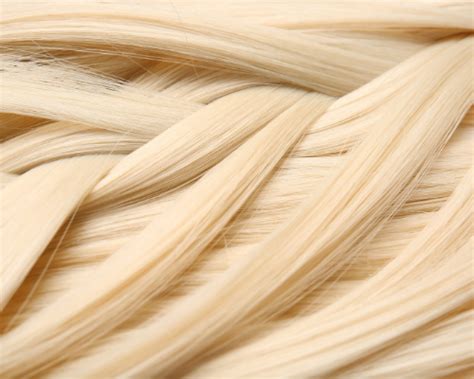 Différences entre la blonde chaude et fraîche Diffexpert