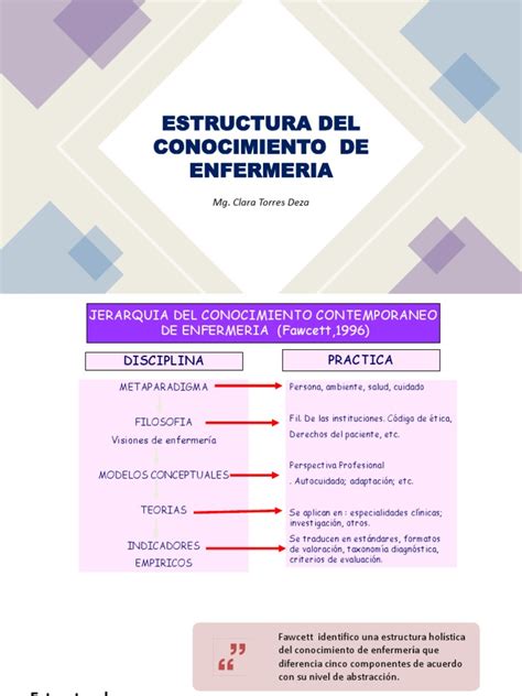 Estructura Jerarquica Del Conocimiento De Enfermería Pdf Enfermería