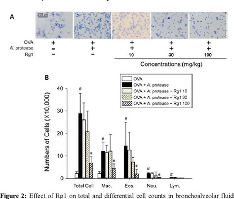 Figure 2 From Ginsenoside Rg1 Exhibits Anti Asthmatic Activity In An