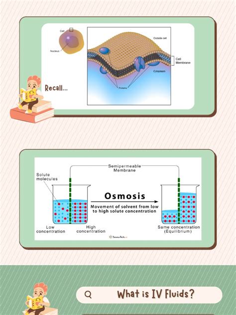 IV Fluids Types and Uses Guide | PDF | Intravenous Therapy | Medicine