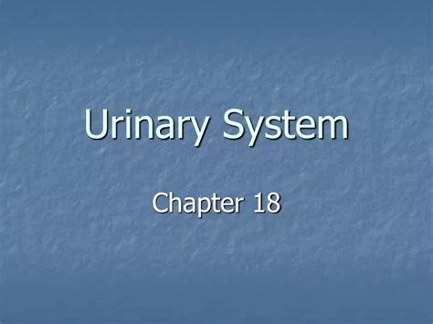 Ppt Urinary System Powerpoint Presentation Free Download Id 5878005