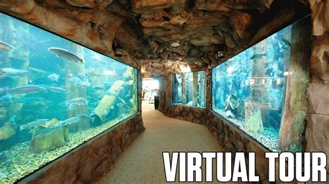 Cabelas Aquarium Triadelphia West Virginia Virtual Tour Youtube