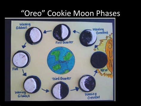 oreo cookie moon phases worksheet