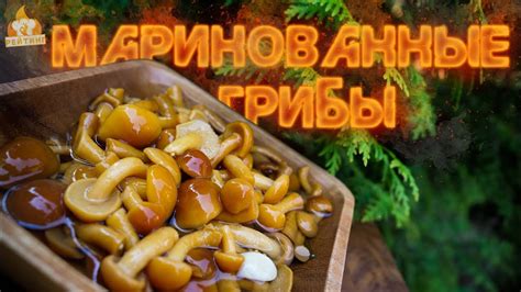 Рейтинг: Маринованные грибы (Опята) - YouTube