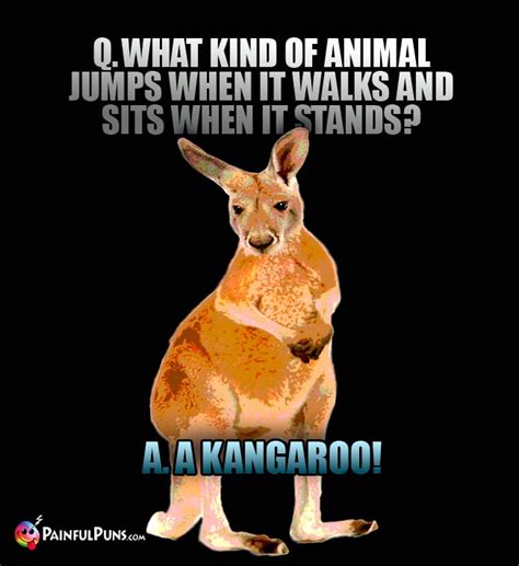 Kangaroo Jokes, Roo Puns, Joey Grins 3 | PainfulPuns.com