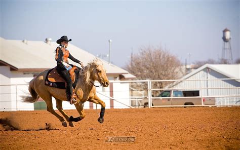 Equestrian Wallpapers - Wallpaper Cave