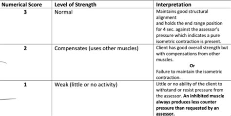 Lab Manual Muscle Testing Written Flashcards Quizlet