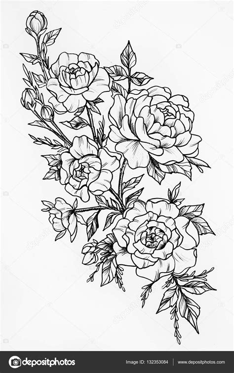 Bosquejo En Blanco Y Negro De Tres Hermosas Rosas Fotograf A De