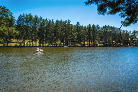 Zlatibor Lake Stock Photos, Pictures & Royalty-Free Images - iStock