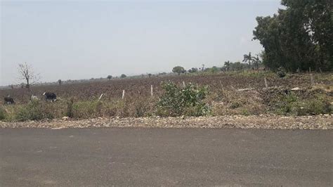 Acre Agricultural Farm Land For Sale In Kolar Road Bhopal