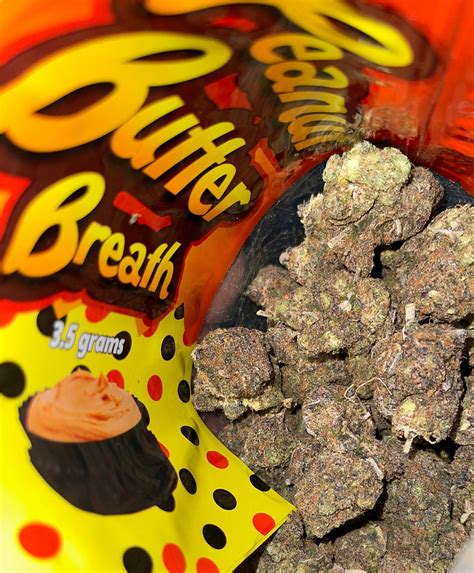 Peanut Butter Breath Strain Weed Delivery In Dc Bud Lords