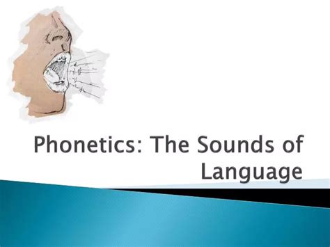 Ppt Phonetics The Sounds Of Language Powerpoint Presentation Free