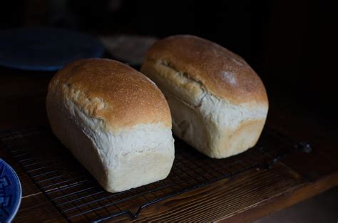 Easy Sourdough Starter and Bread Recipe - Amy K Fewell | The Fewell Homestead