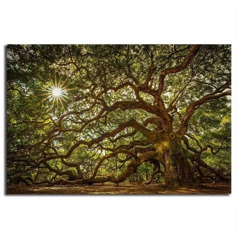 Old Oak Tree Canvas Wall Art | Scenic Nature-Themed Art Prints ...