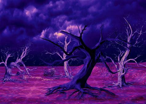 Online Crop Hd Wallpaper Artistic Tree Dark Nature Night