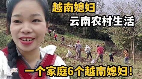 【越南媳婦在中國農村】越南媳妇远嫁云南大山，天天干农活不怕累：很幸运能嫁到中国！ Youtube