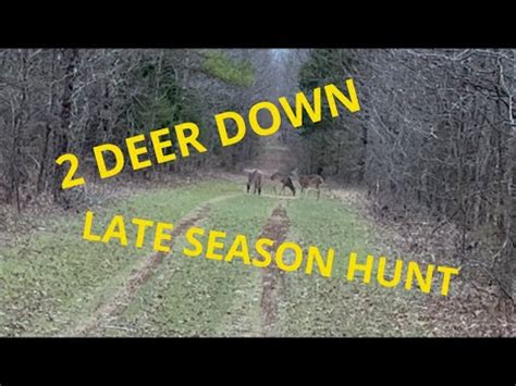 TWO DEER DOWN Late Season Whitetail Hunting YouTube