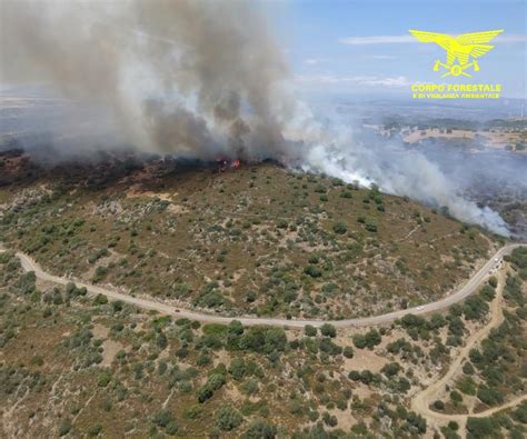 Oggi 17 Incendi In Sardegna In Azione Gli Elicotteri E Un Canadair