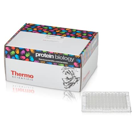 Thermo Scientific Pierce Protein Coated Plates Protein A Clear 96